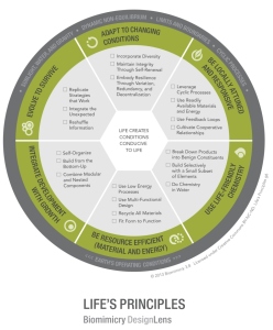 ????????????????????