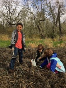 Planting at Muck Creek 