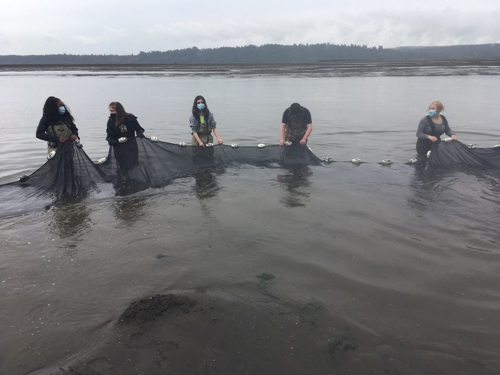Five students in waders stand in the water holding a long net for fish surveying.