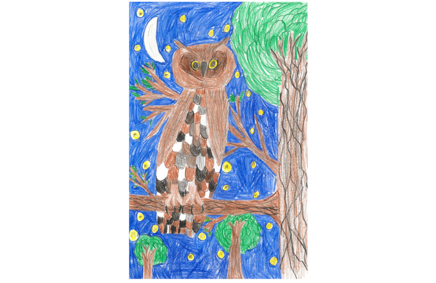 Nisqually Watershed Festival Poster Contest – Nisqually River Education  Project